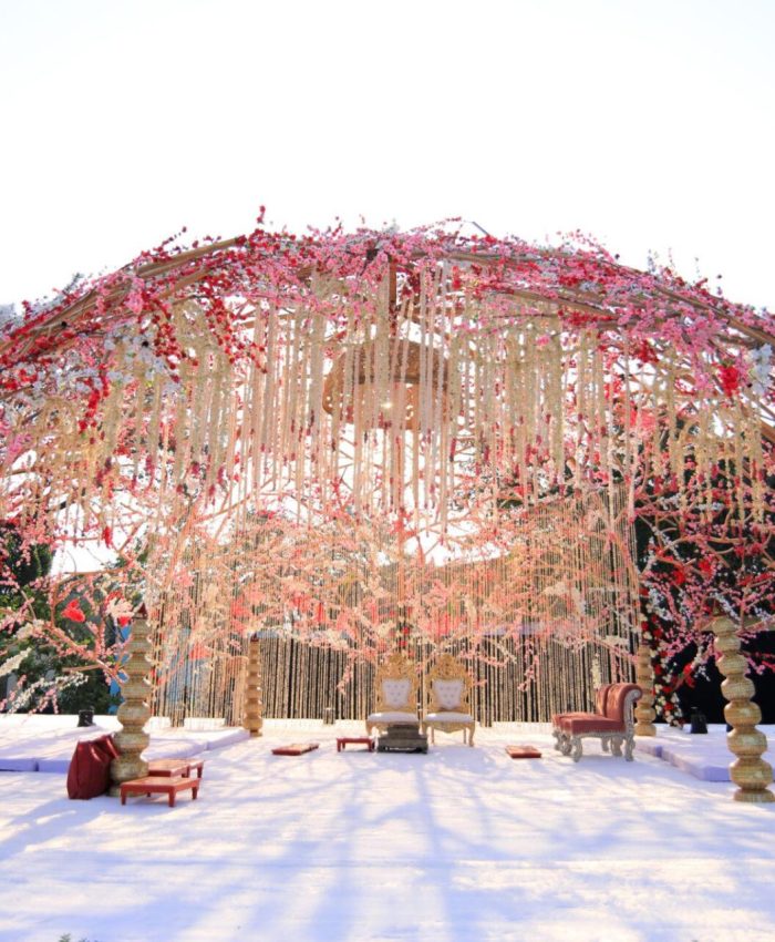 Day Wedding vs Night Wedding Décor: What Creates a Better Visual Impact?